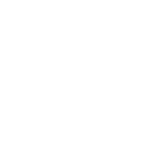 NexusW.R